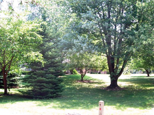 Property photo 8 - Real Estate Auction - 5 Bedroom Home